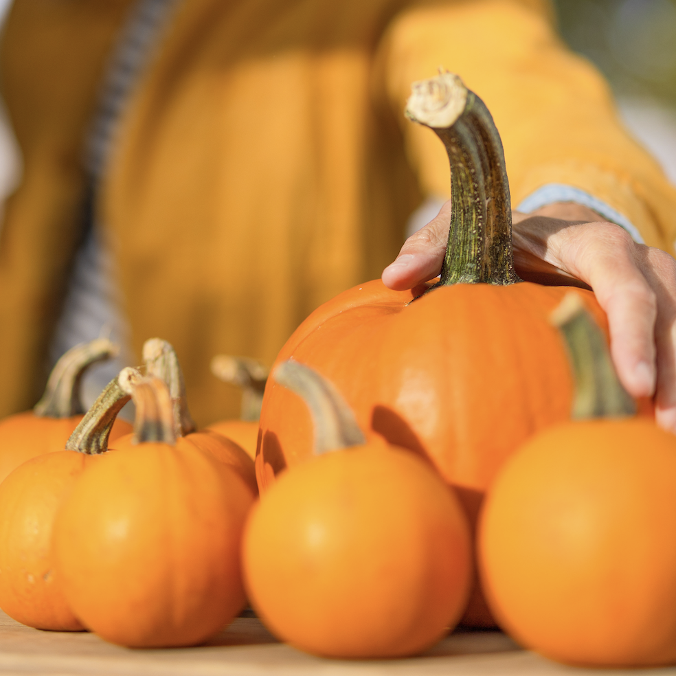 Screenshot 2024-09-13 at 3.06.56 PM